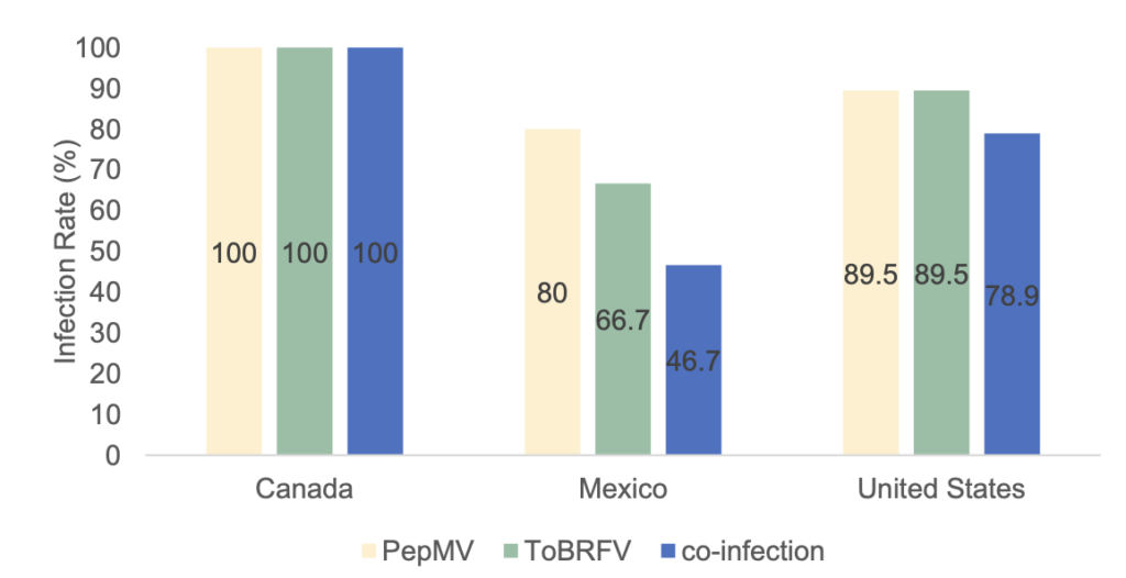 The percent distribution of tomato brown rugose fruit virus (ToBRFV) and pepino mosaic Figure 2. The percent distribution of tomato brown rugose fruit virus (ToBRFV) and pepino mosaic virus (PepMV) and their co-infection in tomatoes imported from Canada, Mexico, and the United virus (PepMV) and their co-infection in tomatoes imported from Canada, Mexico, and the United States. (The origin of the tomatoes was determined based on the package labels). States. (The origin of the tomatoes was determined based on the package labels.) From Yilmaz and Batuman, 2023, https://doi.org/10.3390/ v15122305